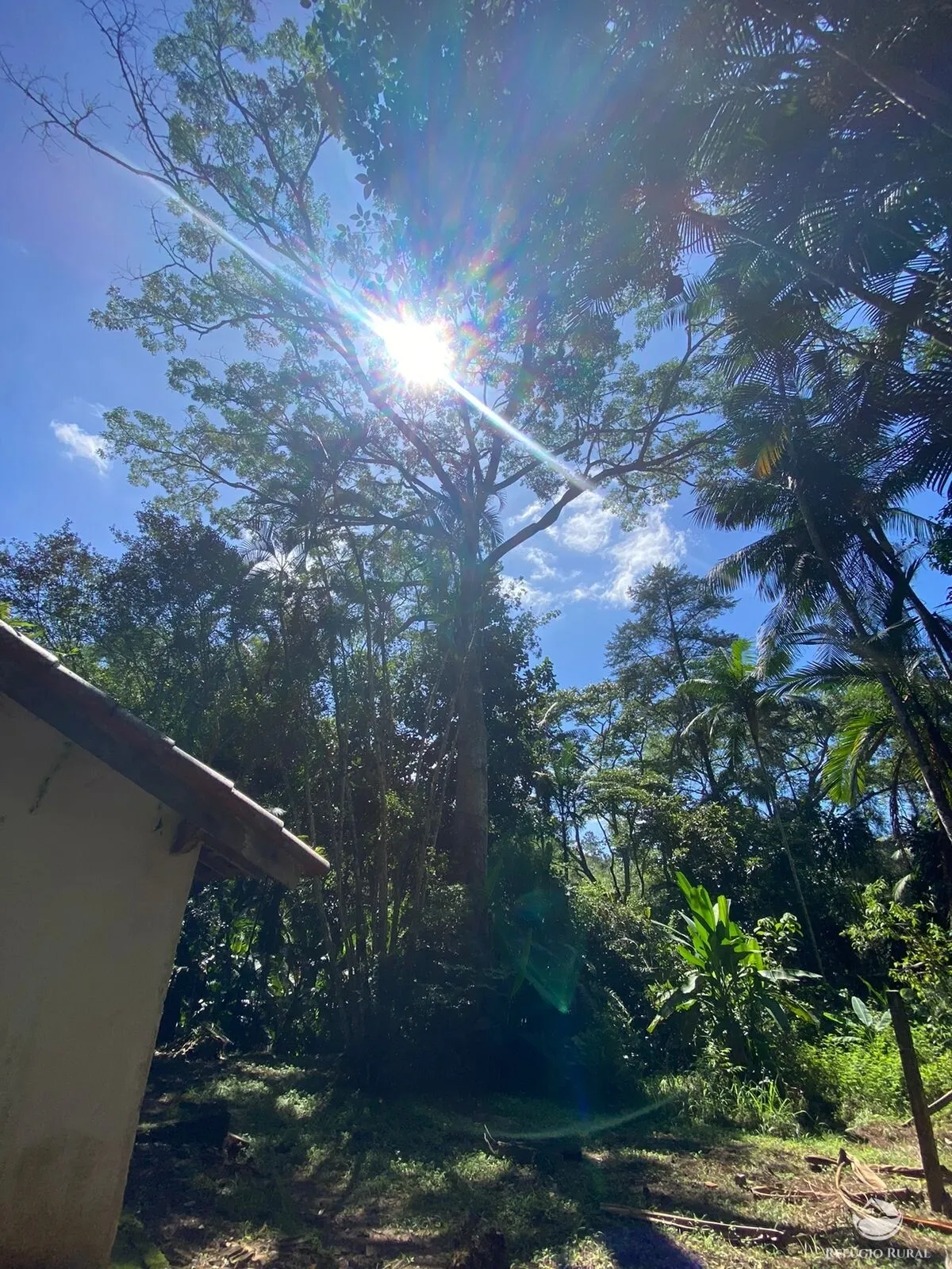 Small farm for sale of 17 acres in Igaratá, SP, Brazil