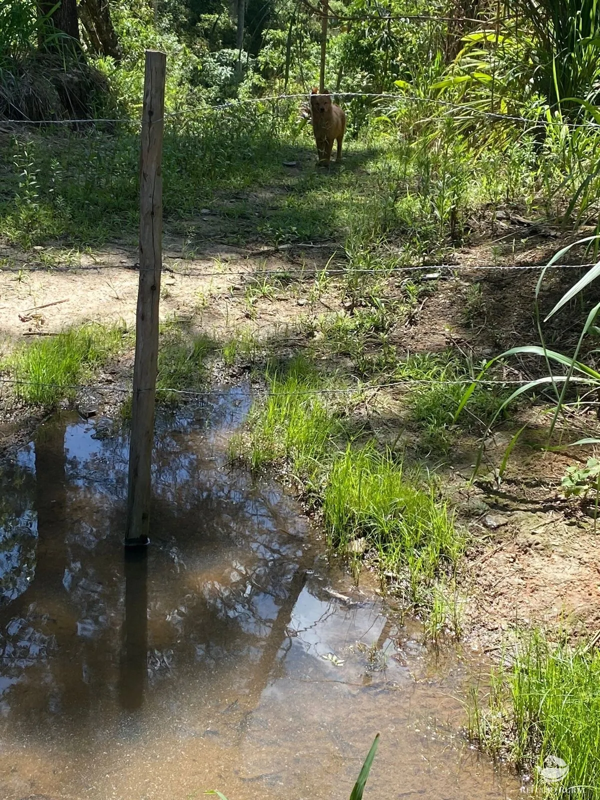 Small farm for sale of 17 acres in Igaratá, SP, Brazil