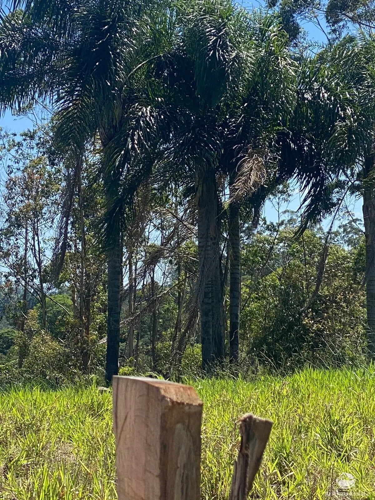 Small farm for sale of 17 acres in Igaratá, SP, Brazil