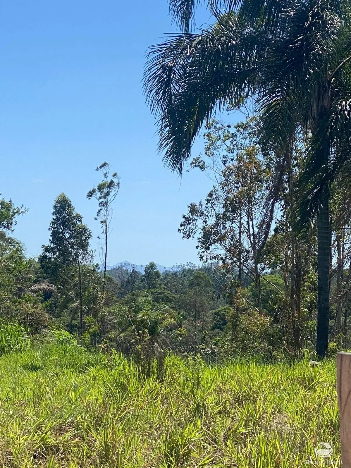 Small farm for sale of 17 acres in Igaratá, SP, Brazil