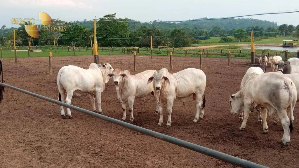 Farm for sale of 5,147 acres in Juara, MT, Brazil