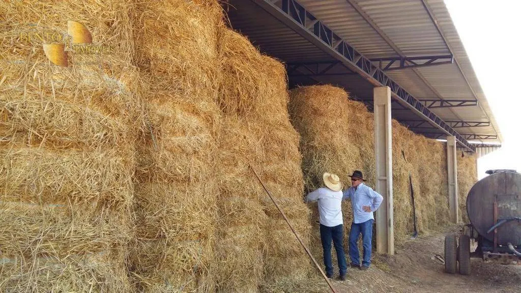 Farm for sale of 5,147 acres in Juara, MT, Brazil