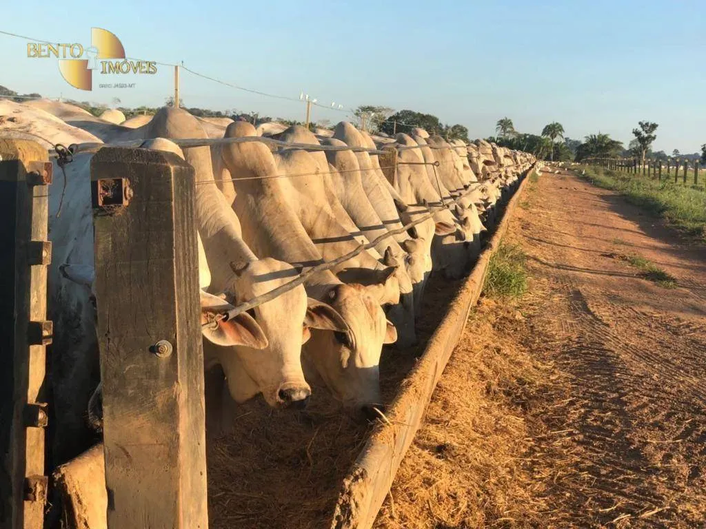 Farm for sale of 5,147 acres in Juara, MT, Brazil