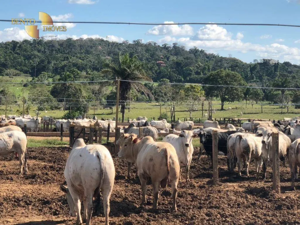 Farm for sale of 5,147 acres in Juara, MT, Brazil