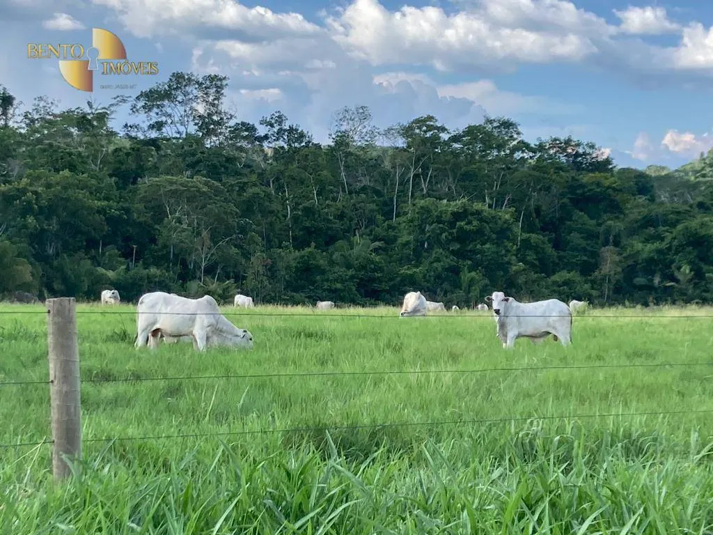 Farm for sale of 5,147 acres in Juara, MT, Brazil