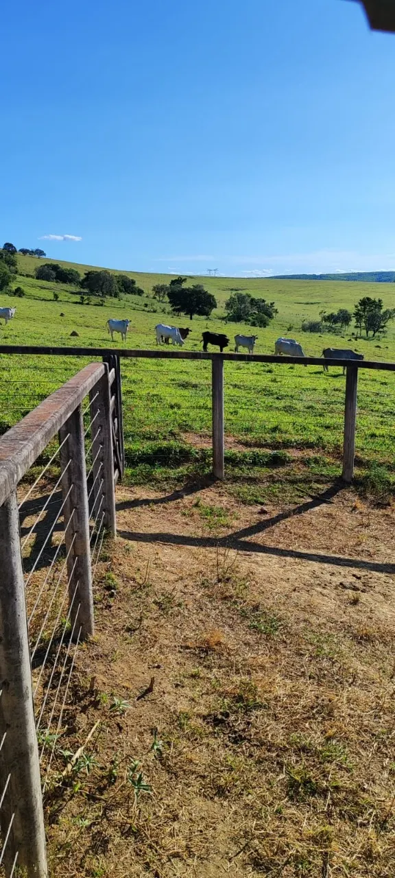 Fazenda à venda de 91 ha em Salto de Pirapora, SP, Brasil