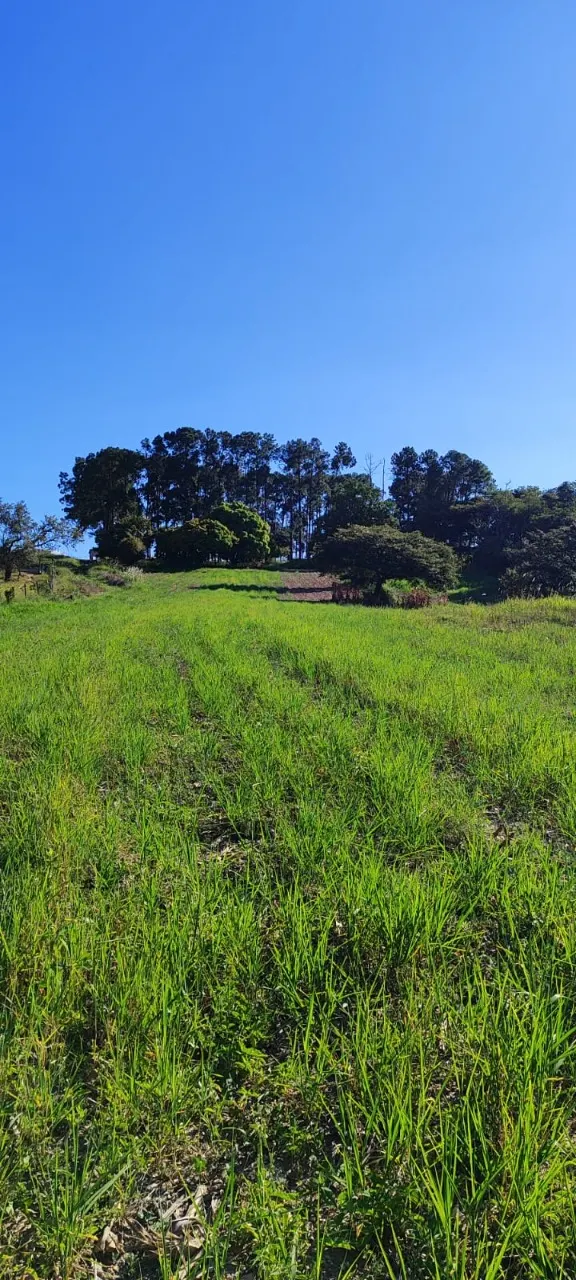 Fazenda à venda de 91 ha em Salto de Pirapora, SP, Brasil