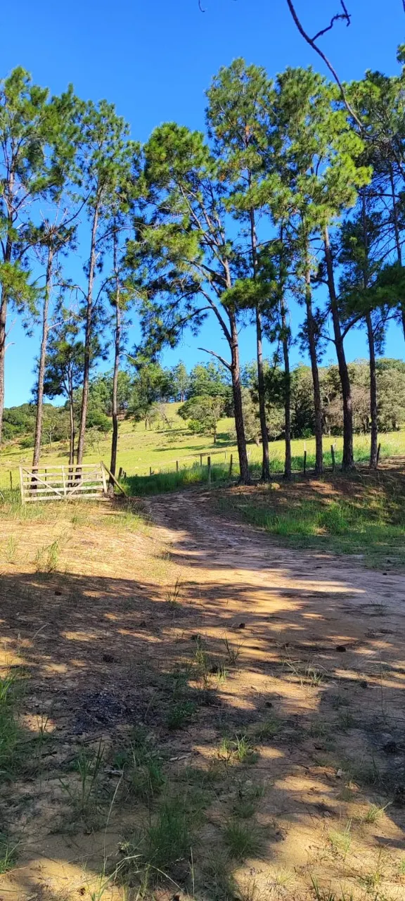 Fazenda à venda de 91 ha em Salto de Pirapora, SP, Brasil