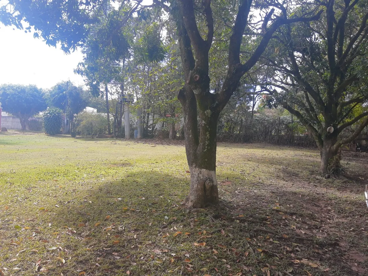 Chácara à venda e para Arrendar de 1.600 m² em Sumaré, SP, Brasil