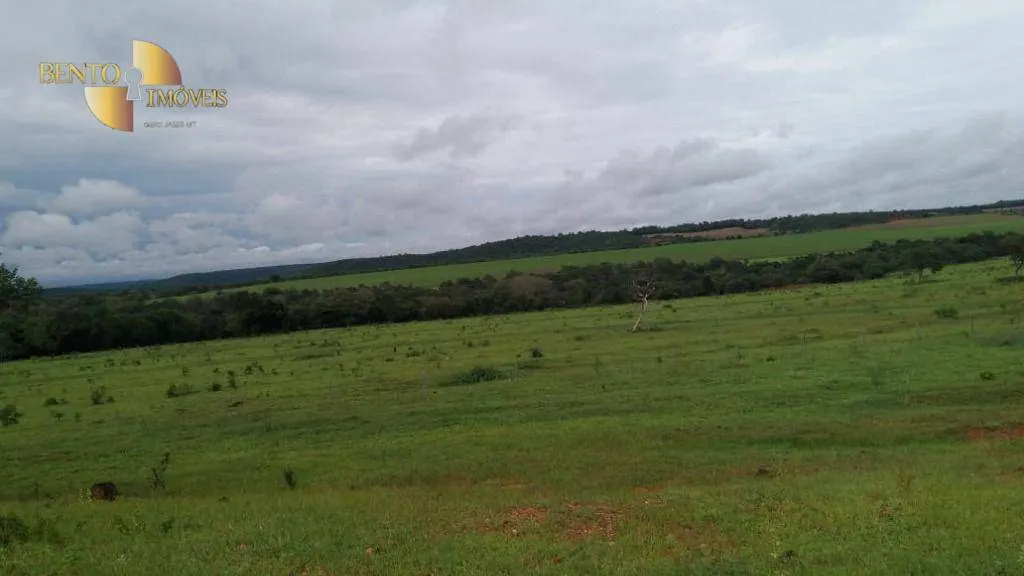 Fazenda à venda de 1.700 ha em Santa Rita do Trivelato, MT, Brasil