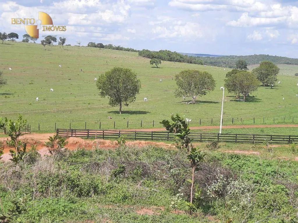 Fazenda à venda de 1.700 ha em Santa Rita do Trivelato, MT, Brasil