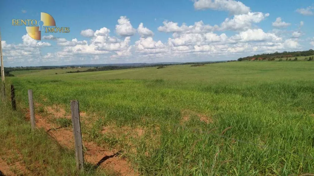 Fazenda à venda de 1.700 ha em Santa Rita do Trivelato, MT, Brasil