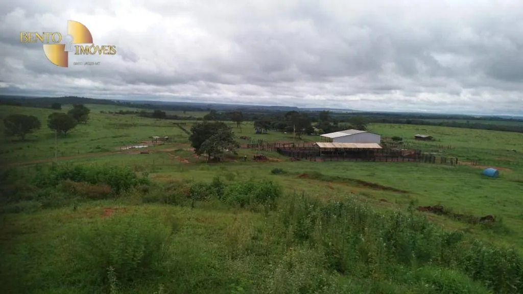 Fazenda à venda de 1.700 ha em Santa Rita do Trivelato, MT, Brasil
