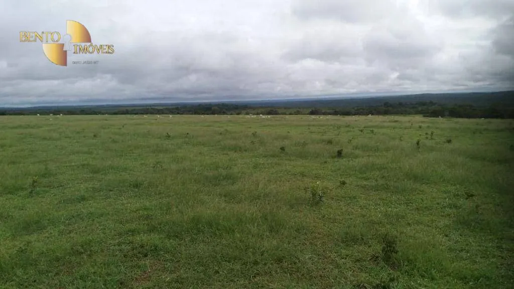 Fazenda à venda de 1.700 ha em Santa Rita do Trivelato, MT, Brasil