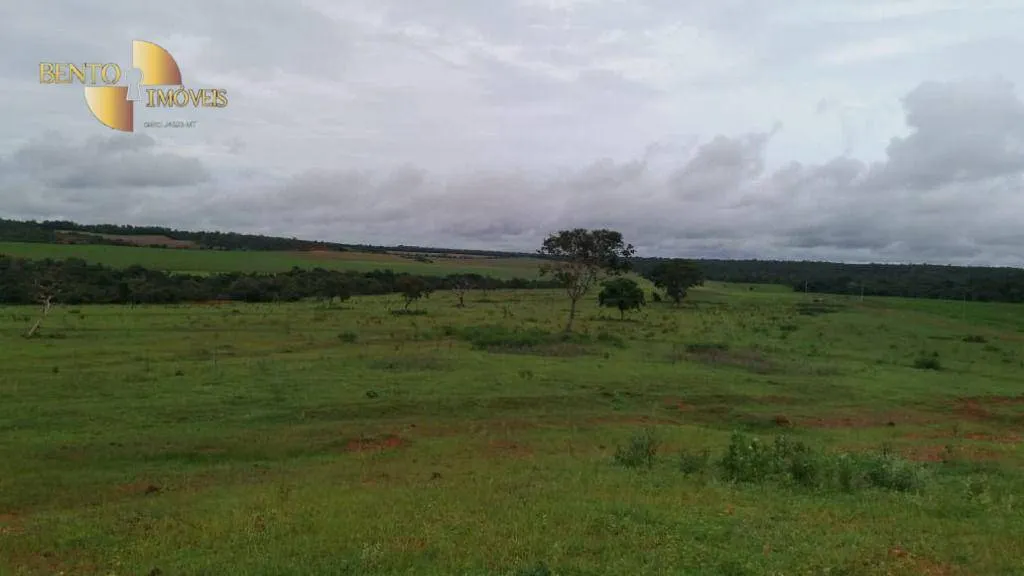 Fazenda à venda de 1.700 ha em Santa Rita do Trivelato, MT, Brasil