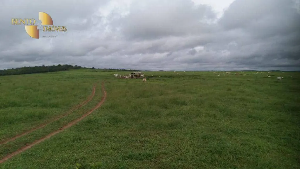 Fazenda à venda de 1.700 ha em Santa Rita do Trivelato, MT, Brasil
