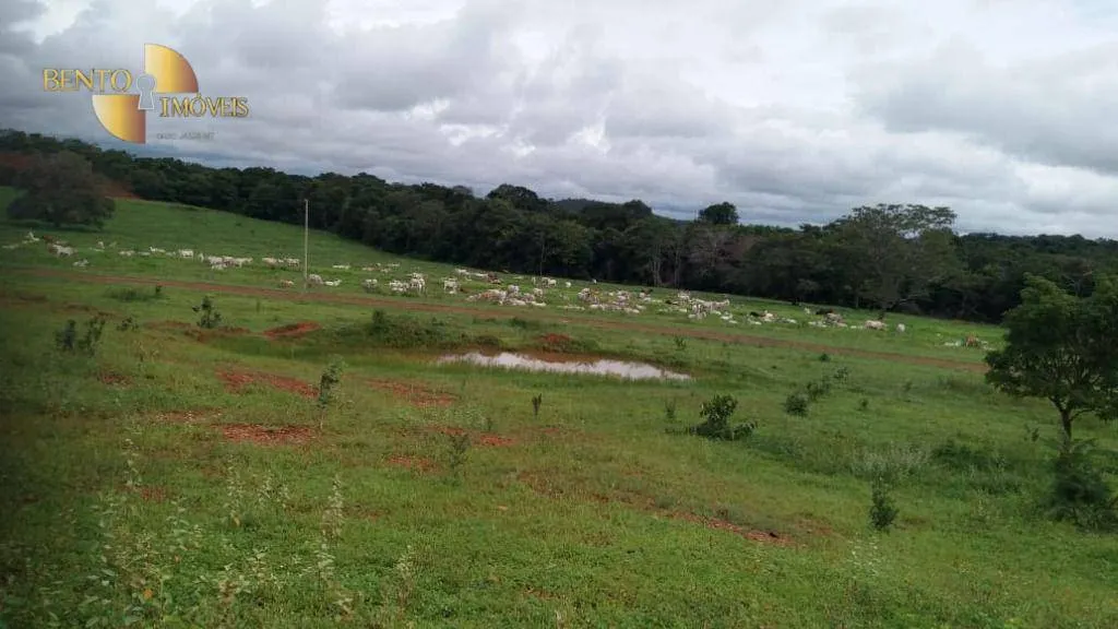 Fazenda à venda de 1.700 ha em Santa Rita do Trivelato, MT, Brasil