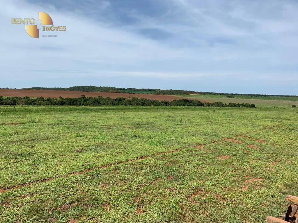 Fazenda à venda de 1.700 ha em Santa Rita do Trivelato, MT, Brasil