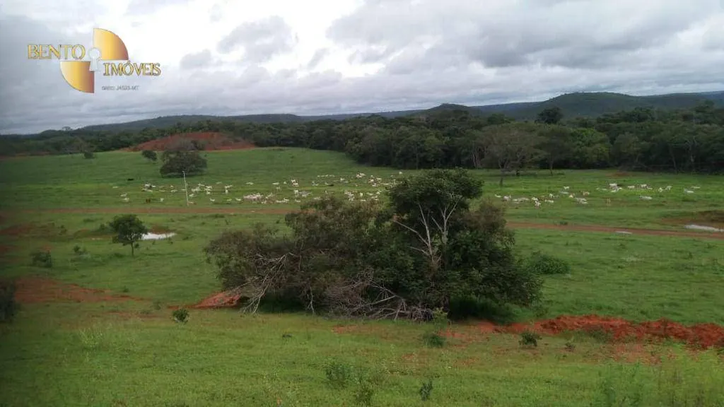 Fazenda à venda de 1.700 ha em Santa Rita do Trivelato, MT, Brasil