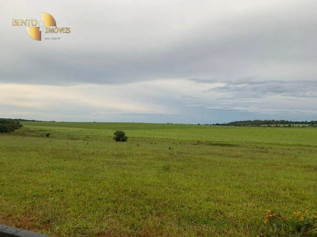 Fazenda à venda de 1.700 ha em Santa Rita do Trivelato, MT, Brasil