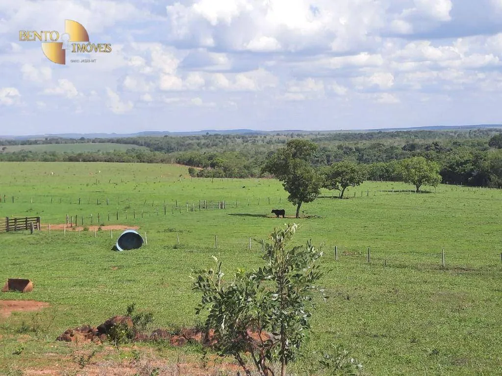 Fazenda à venda de 1.700 ha em Santa Rita do Trivelato, MT, Brasil