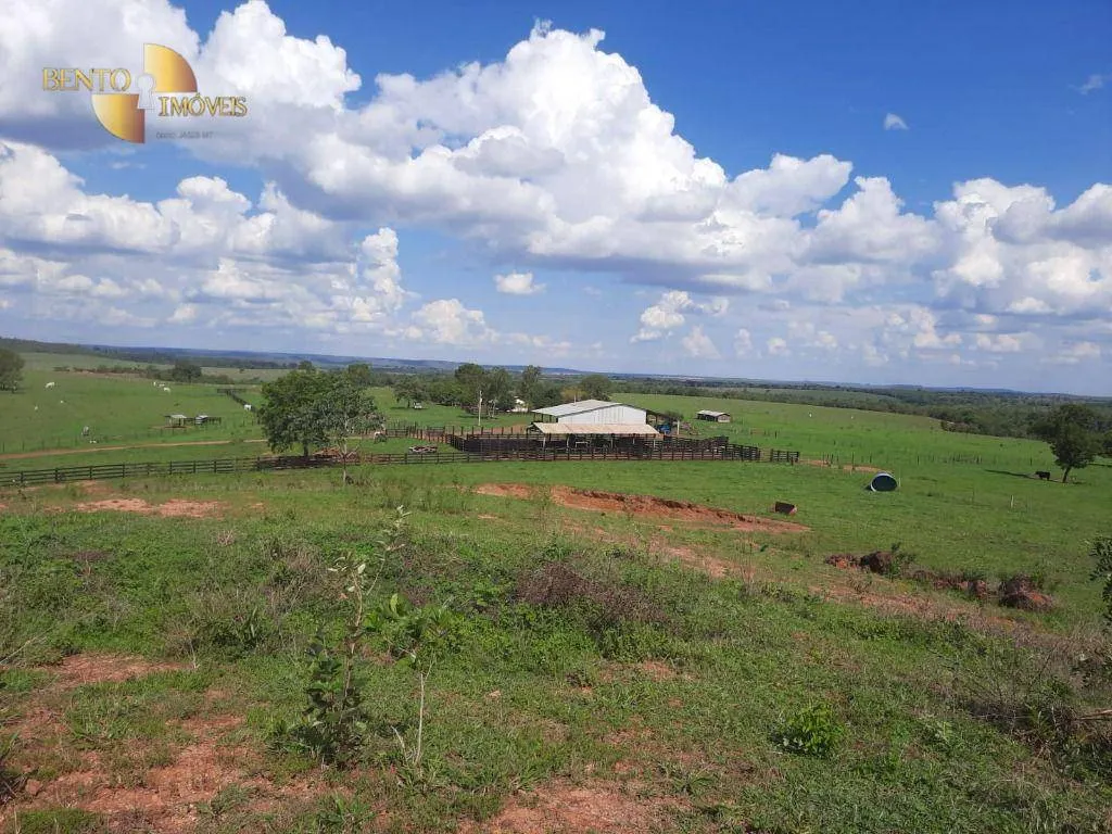 Fazenda à venda de 1.700 ha em Santa Rita do Trivelato, MT, Brasil