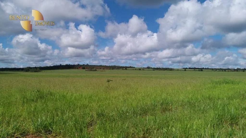 Fazenda à venda de 1.700 ha em Santa Rita do Trivelato, MT, Brasil