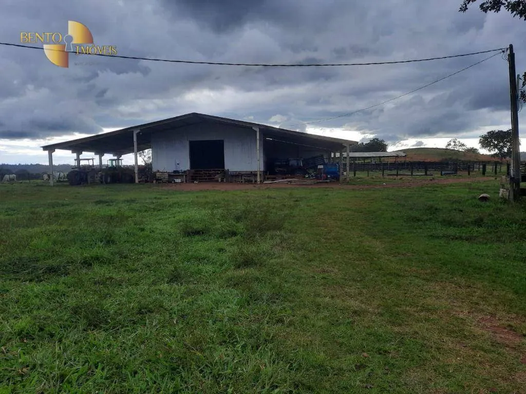 Fazenda à venda de 1.700 ha em Santa Rita do Trivelato, MT, Brasil