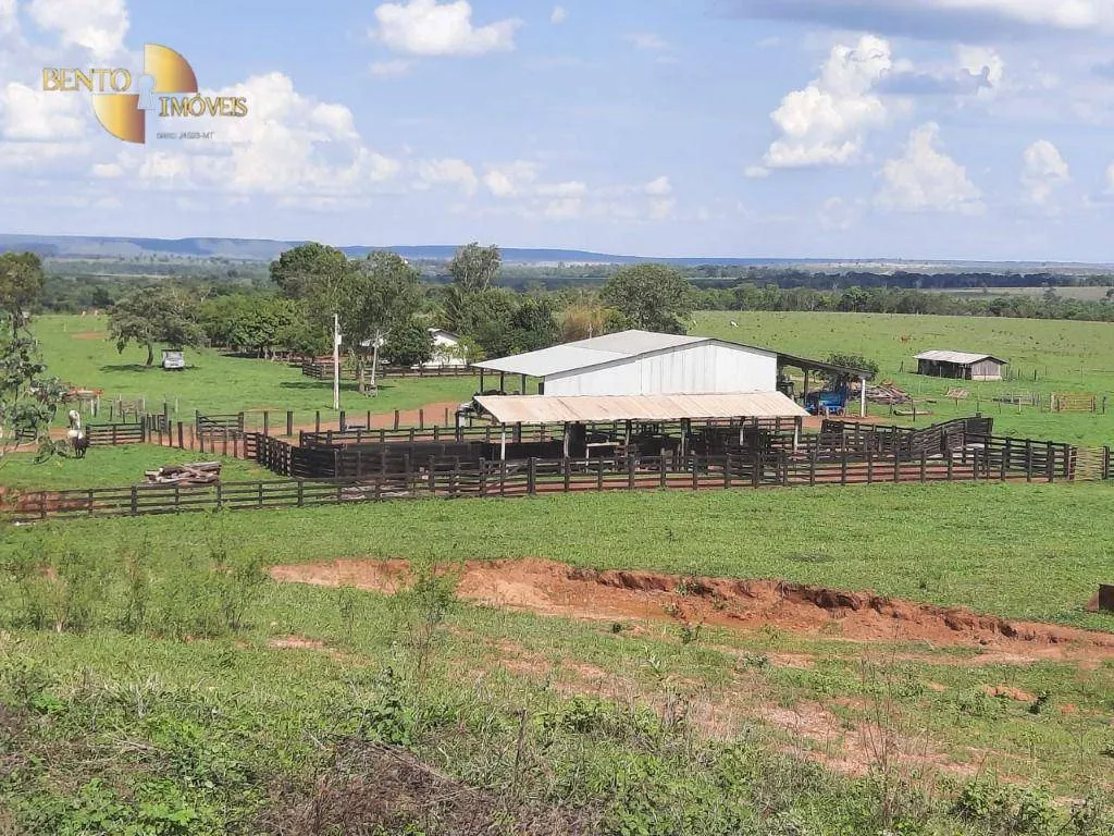 Fazenda à venda de 1.700 ha em Santa Rita do Trivelato, MT, Brasil
