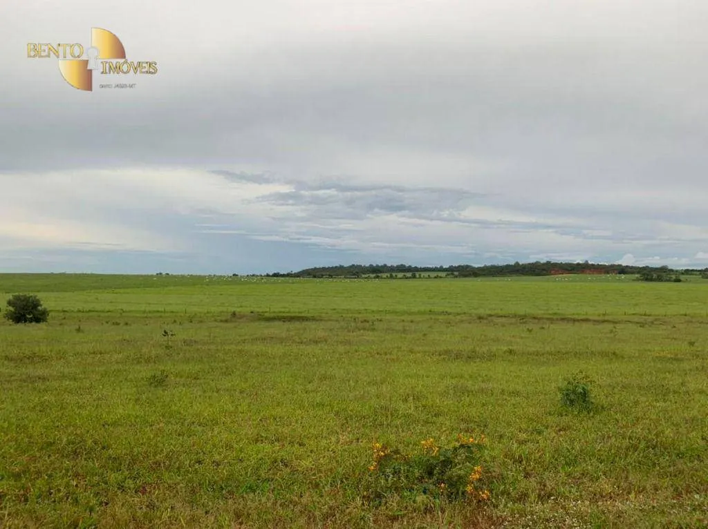 Fazenda à venda de 1.700 ha em Santa Rita do Trivelato, MT, Brasil