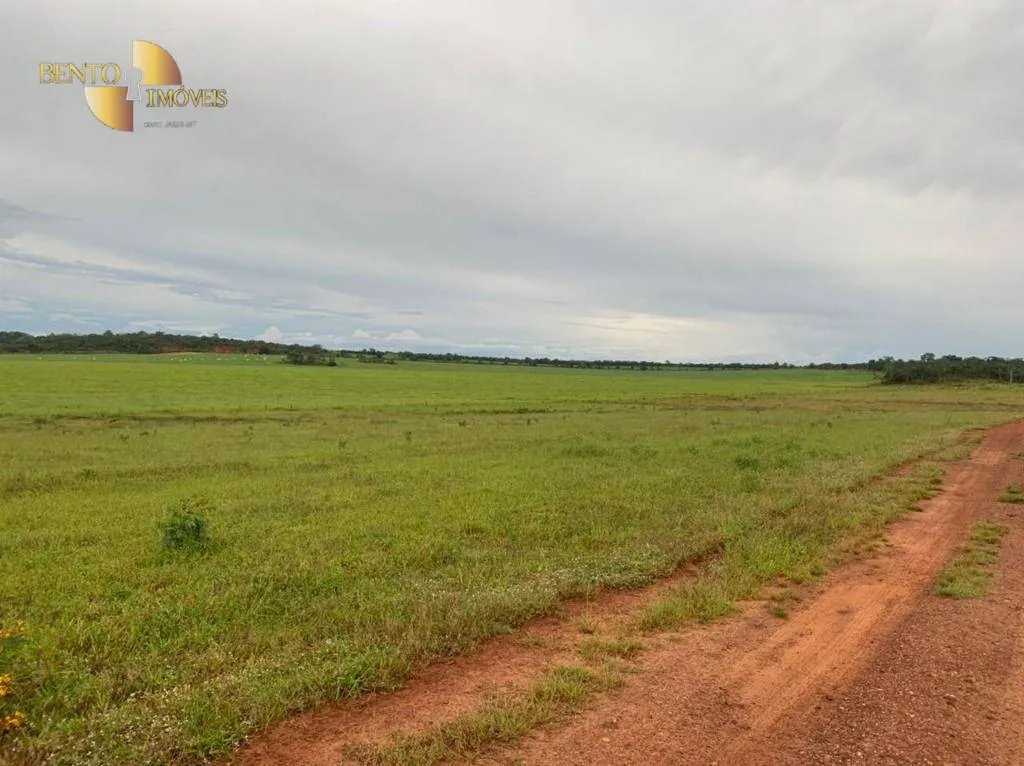 Fazenda à venda de 1.700 ha em Santa Rita do Trivelato, MT, Brasil