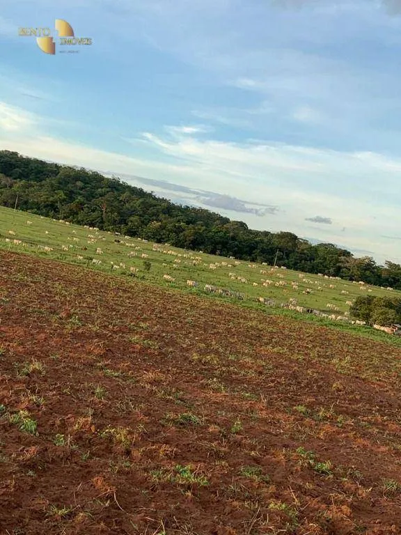 Fazenda à venda de 1.700 ha em Santa Rita do Trivelato, MT, Brasil