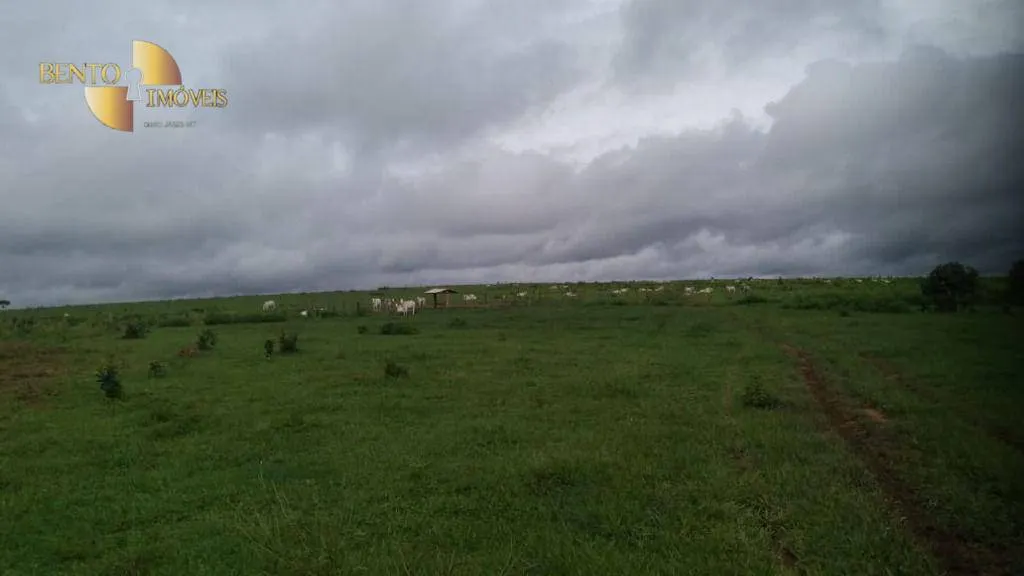 Fazenda à venda de 1.700 ha em Santa Rita do Trivelato, MT, Brasil