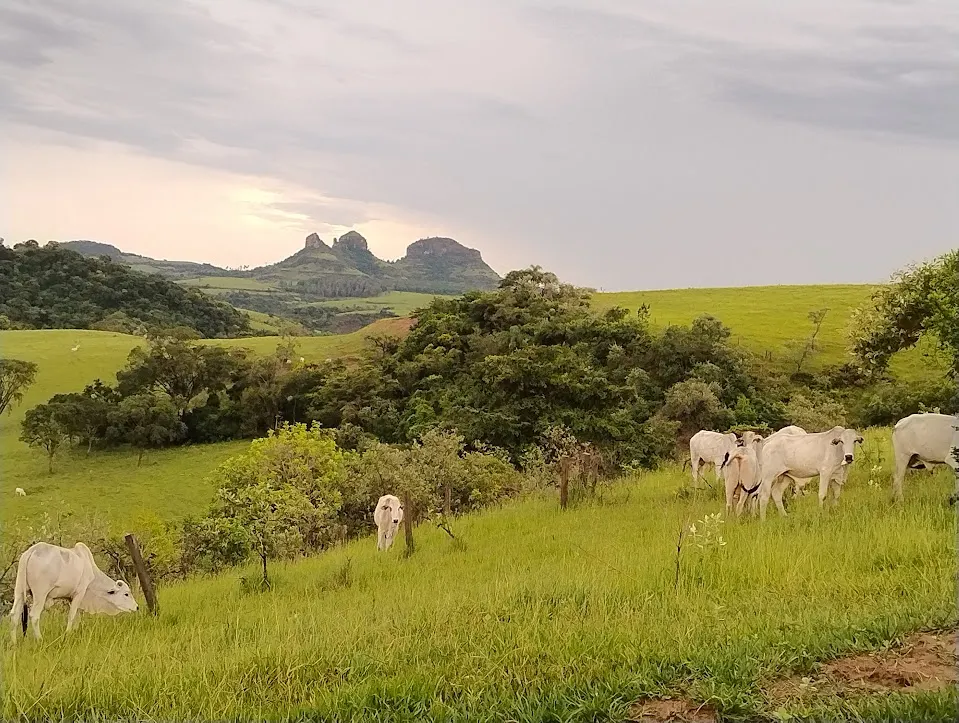 Sítio à venda de 31 ha em Bofete, SP, Brasil