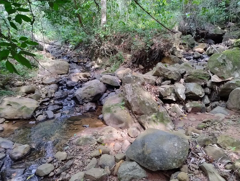 Sítio à venda de 31 ha em Bofete, SP, Brasil