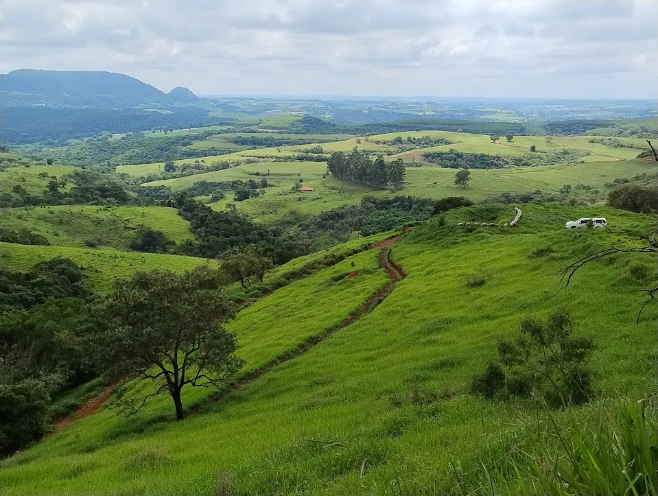 Sítio à venda de 31 ha em Bofete, SP, Brasil