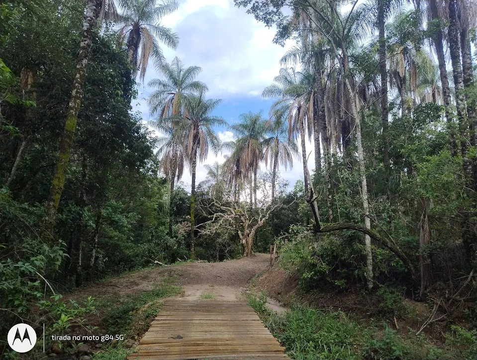 Sítio à venda de 31 ha em Bofete, SP, Brasil