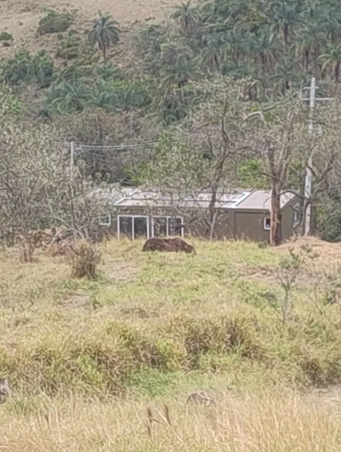 Sítio à venda de 31 ha em Bofete, SP, Brasil