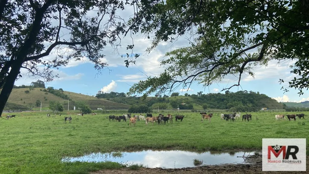 Fazenda à venda de 121 ha em Cambuí, MG, Brasil