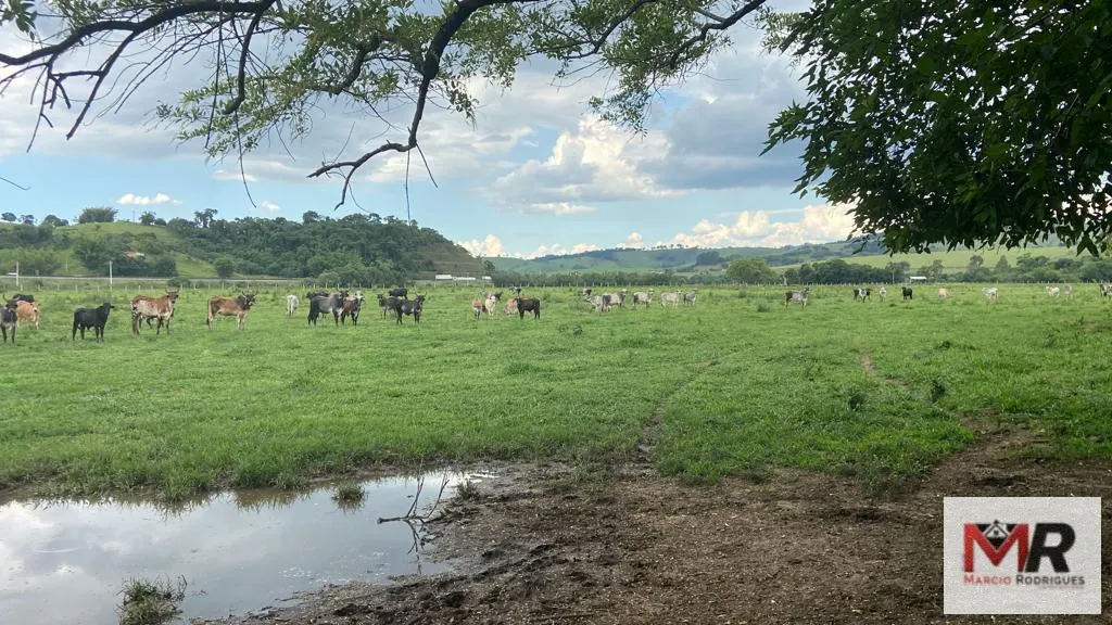 Fazenda à venda de 121 ha em Cambuí, MG, Brasil