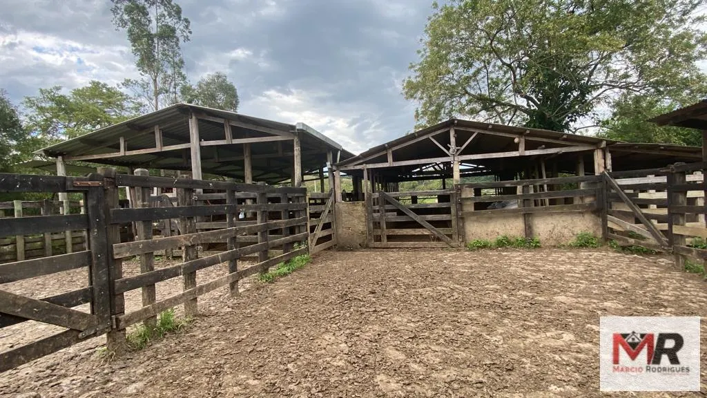 Fazenda à venda de 121 ha em Cambuí, MG, Brasil