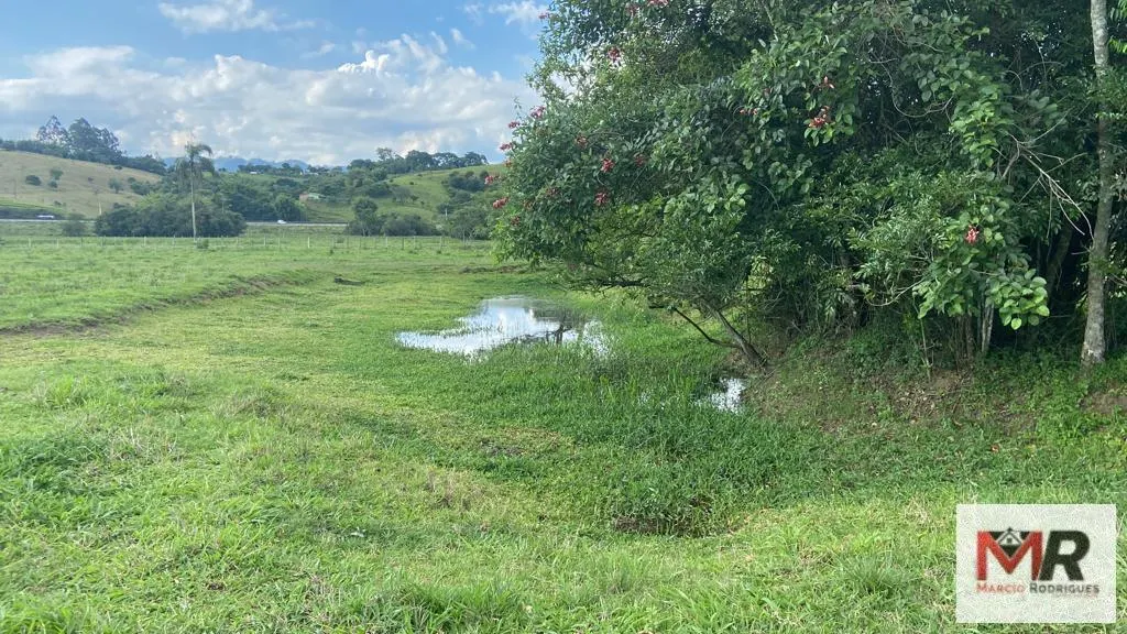 Fazenda à venda de 121 ha em Cambuí, MG, Brasil
