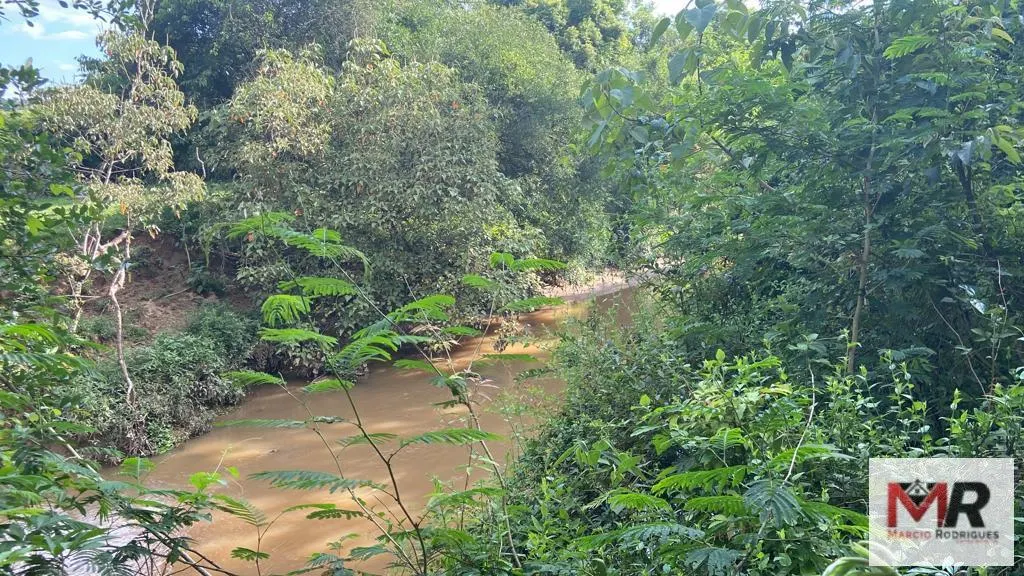 Fazenda à venda de 121 ha em Cambuí, MG, Brasil