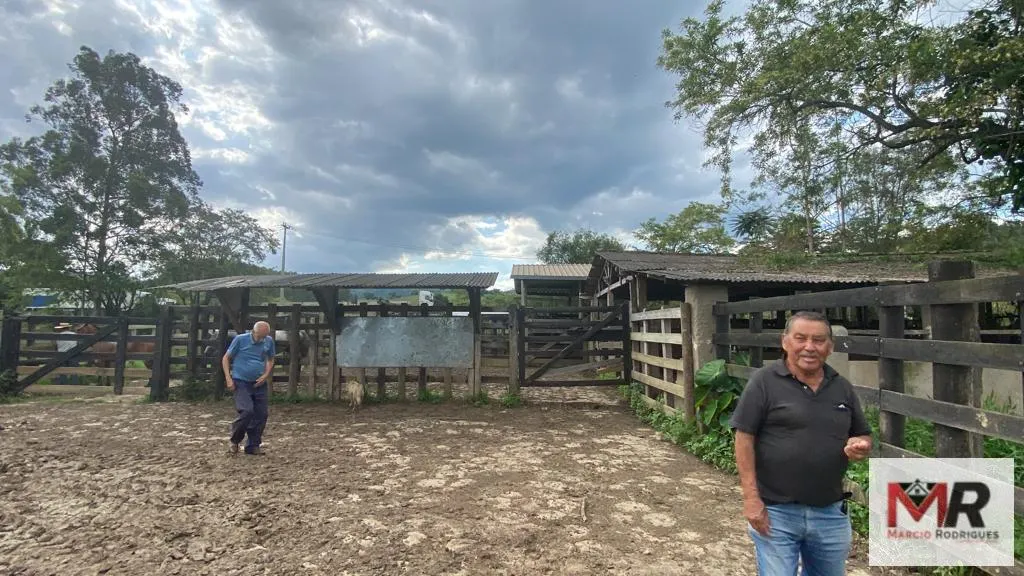 Fazenda à venda de 121 ha em Cambuí, MG, Brasil
