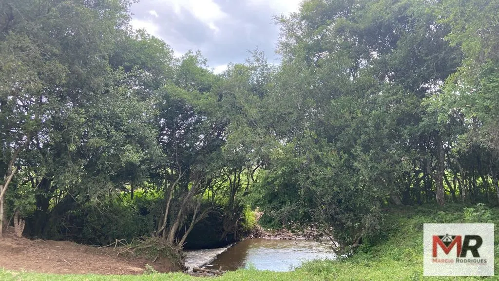 Fazenda à venda de 121 ha em Cambuí, MG, Brasil