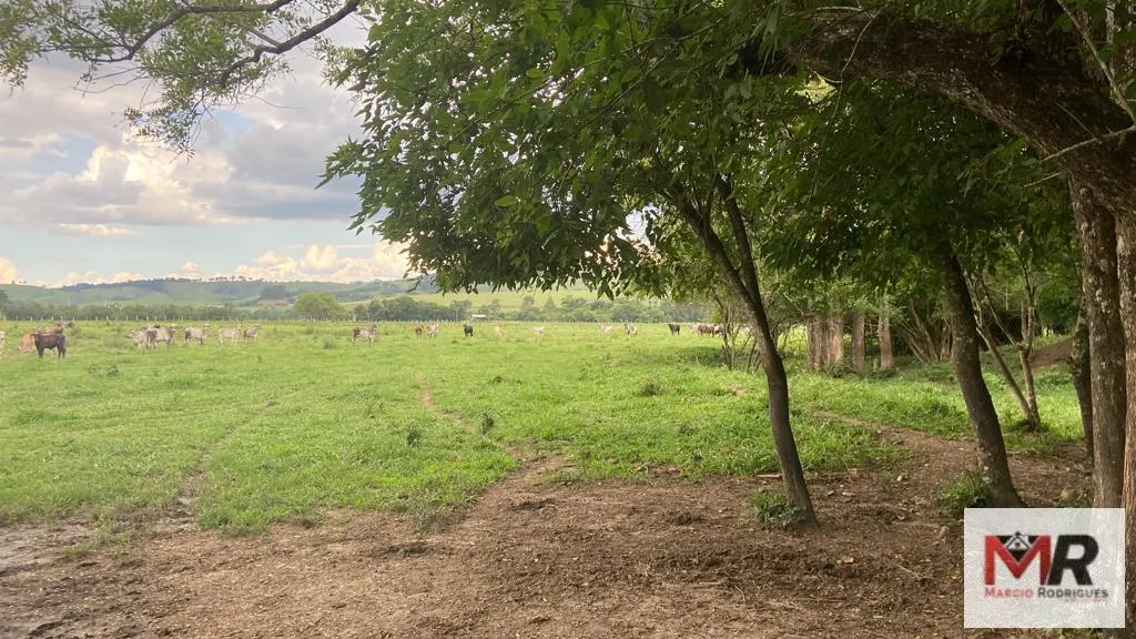 Fazenda à venda de 121 ha em Cambuí, MG, Brasil