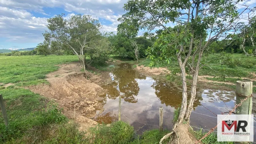 Fazenda à venda de 121 ha em Cambuí, MG, Brasil