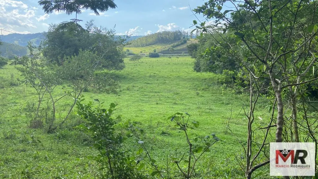 Fazenda à venda de 121 ha em Cambuí, MG, Brasil
