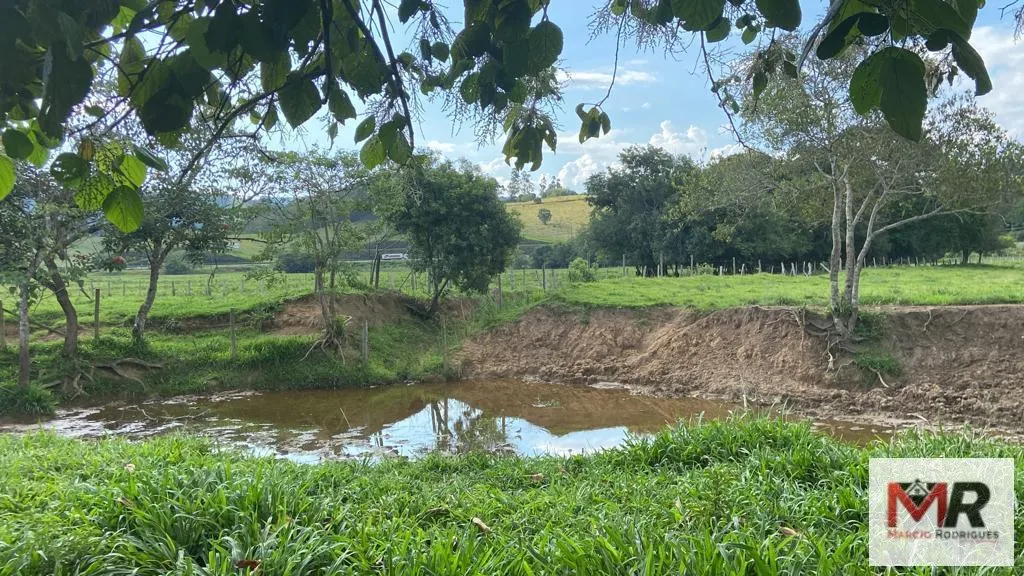 Fazenda à venda de 121 ha em Cambuí, MG, Brasil