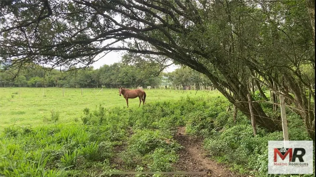 Fazenda à venda de 121 ha em Cambuí, MG, Brasil